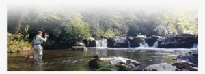 Hazel Creek Forney Creek Eagle Creek - North Carolina