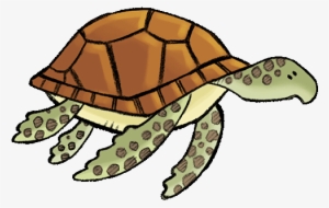 Stream Clipart Water Game - Chelonoidis