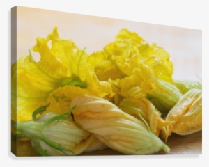Close Up Of Zucchini Blossoms With Water Drops On Wooden