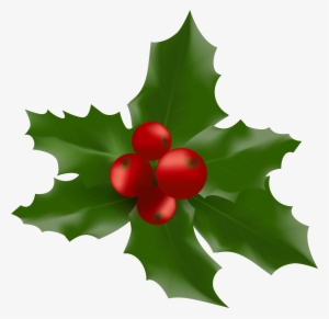 Holly Leaf Png