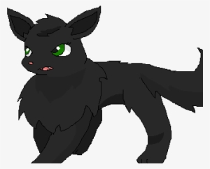 Hollyleaf - Silver Fox