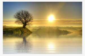 Download Sunset Clipart Sunset Sky Sunset Sky Sunrise - Tree On Sunset Hill