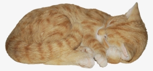 Related - Orange Cat Garden Statue