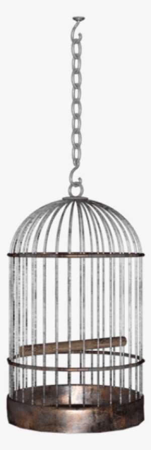 Free Png Bird Cage Png Images Transparent - Hanging Cage Png