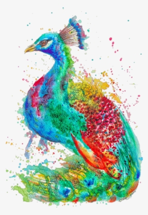 Astrid Brisson Peacock Illustration Art Print
