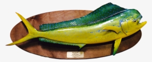 For Information Or To Order, Simply Call 942-1417 Or - Wall Mounted Fish Plaque