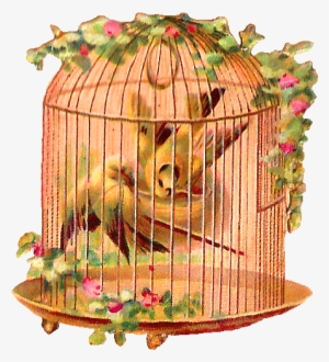 Birdcage Clipart Pink - Birds Victorians Scrap