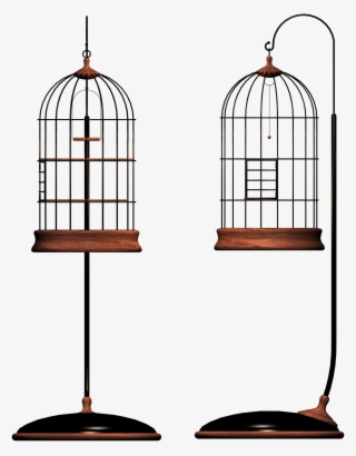 Free Png Bird Cage Png Images Transparent - Gabbia Per Uccelli Png