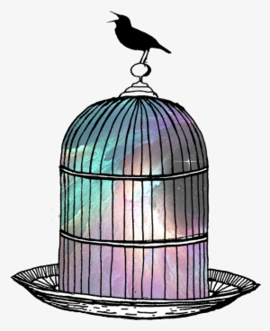 Birdcage-space - The Flea