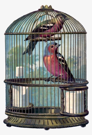 Ch - B *✿* - Vintage Bird Cage Png
