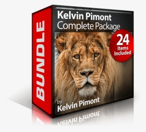 Kelvin Pimont Complete Package - Photoserge Lightroom Presets Complete Package