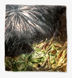 Dead Tree Graveyard Series