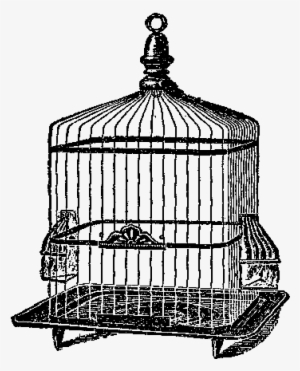 Free Bird Cage Digital Stamp - Birdcage