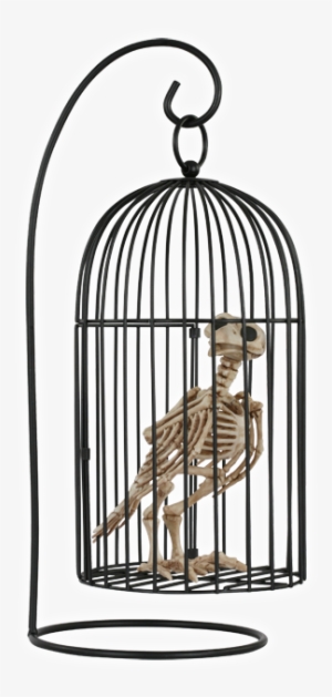 Halloween Skeleton Crow In Birdcage - Bird In Cage