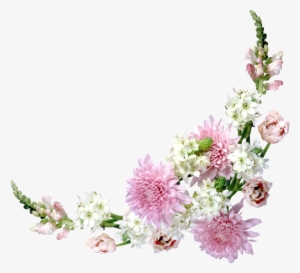 Vector Freeuse China Aster And Tuberose Flowers Meadows - Corner Flower Bouquet Free