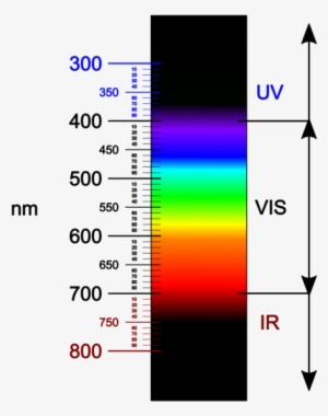 Visible Light Spectrum - Electromagnetic Spectrum