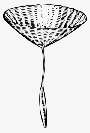 Goat S Beard Seed Clip Art Free Vector - Beard