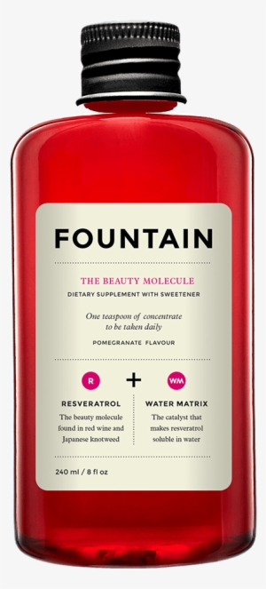 Fountain The Geek Molecule