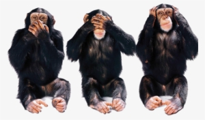 Hear No Evil Png Clip Art Library Library - Sea No Evil Hear No Evil