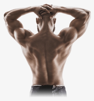 Ems Unit Muscle Recovery Hidow - Back View Muscular Man