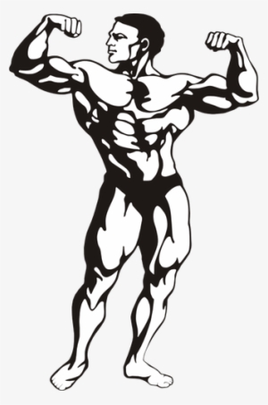 Muscular Man Public Domain Vectors - Bodybuilder Clipart