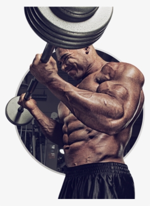 Muscletech Mass-tech Extreme 2000