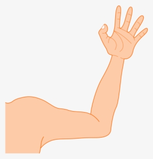 Robotic Arm Muscle Blog Document - Arm Clip Art