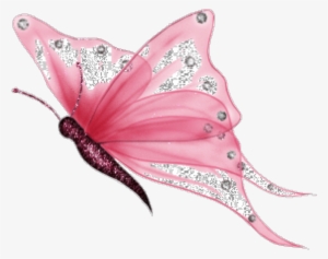 Report Abuse - Imagenes De Mariposas Png