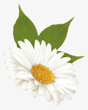 Daisy Clipart Margarita Flower - Clip Art
