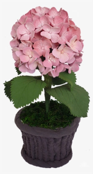 Download Clip Art Clipart Hydrangea Clip Art - Hydrangea