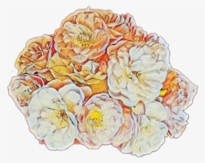 Report Abuse - Chinese Peony