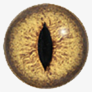 Yellow Snake Eye Psd 438664 - Accessoires - Les Yeux De Créature Dans 7 Différentes