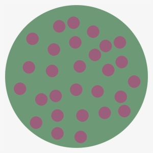 Sign, Map, Symbol, Signs, Symbols, Hydrangea - Camera Icon