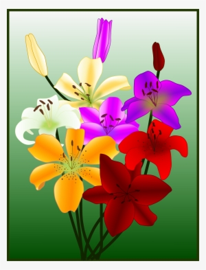 This Free Icons Png Design Of Flowers Gigli Lilies
