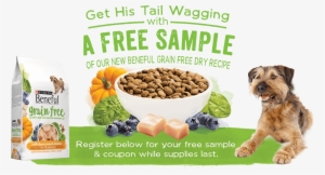Beneful Grain Free Dog Food Sample - Purina Beneful Grain Free With Real Chicken
