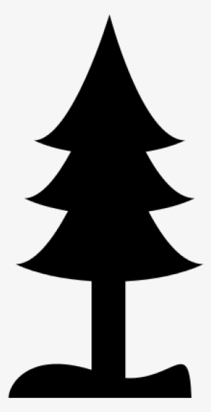 Pine Tree Silhouette Vector - Silueta De Un Pino