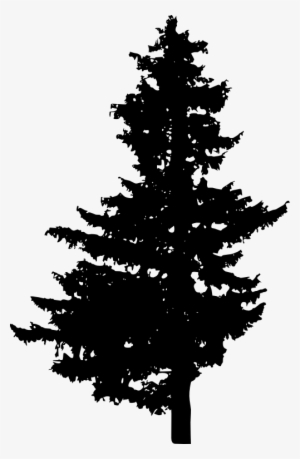 Pine Silhouette Png - Pine Vector Png Free