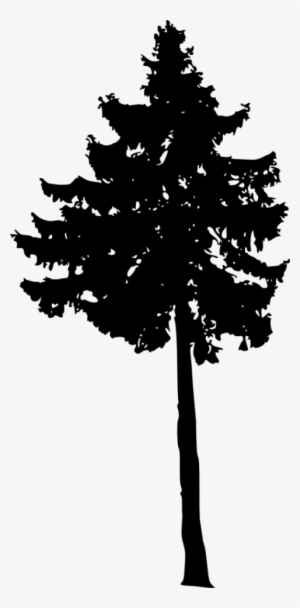 Free Png Pine Tree Silhouette Png Images Transparent - Portable Network Graphics
