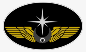 Ni Golden Winged Star - Nazi Germany World Domination