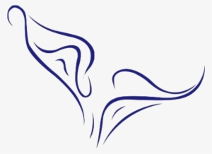 Free Calla Lily Image - Clip Art Free Lilies