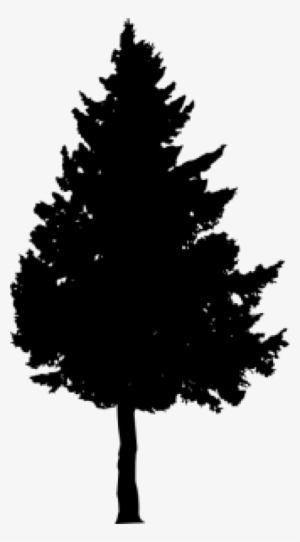 Free Png Pine Tree Silhouette Png Images Transparent - Portable Network Graphics