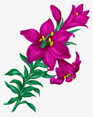 Фото, Автор I - Beauty Flowers Images Png