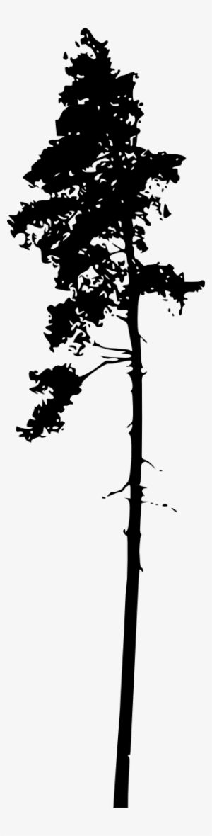 Pine Tree Silhouette Png Download - Portable Network Graphics