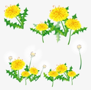 Dandelions Png - Yellow Flower Border Transparent
