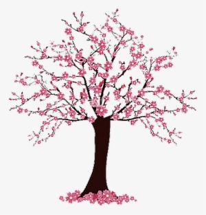 Simple Cherry Blossom Tree Drawing