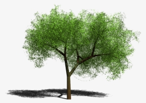 Curtido Curtir Compartilhar - Tree