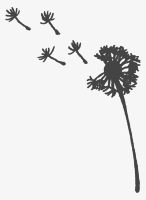 Freetoedit Dandelions Dandelionseeds Png Transparentbac - Silhouette