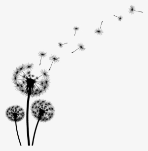 Dandelion Black And White Clipart