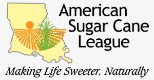 American Sugar Cane League - Ti America