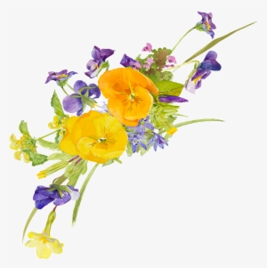 Yellow Flower Watercolor Hand Painted Transparent - Yellow